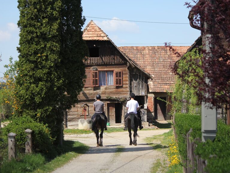 Freizeitreiten – Bauernhof Brodarić, Lekenik